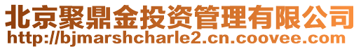 北京聚鼎金投資管理有限公司