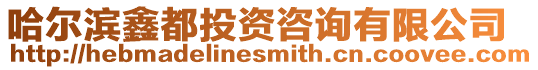 哈爾濱鑫都投資咨詢有限公司