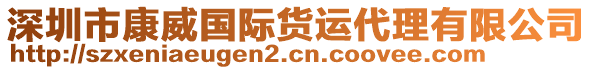 深圳市康威國際貨運代理有限公司