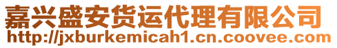 嘉興盛安貨運代理有限公司