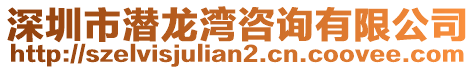 深圳市潛龍灣咨詢有限公司