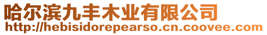 哈爾濱九豐木業(yè)有限公司