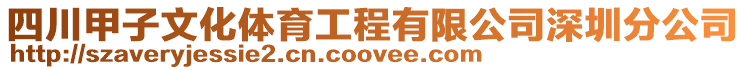 四川甲子文化體育工程有限公司深圳分公司