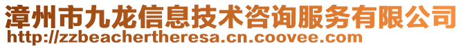 漳州市九龍信息技術(shù)咨詢服務(wù)有限公司