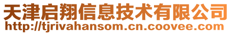 天津啟翔信息技術有限公司