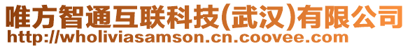 唯方智通互聯(lián)科技(武漢)有限公司