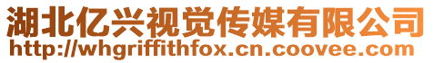 湖北億興視覺傳媒有限公司