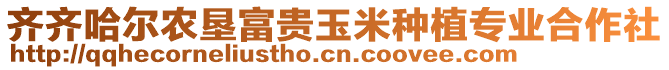 齊齊哈爾農(nóng)墾富貴玉米種植專業(yè)合作社