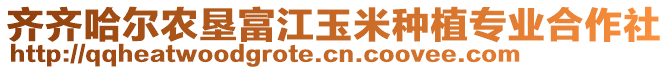 齊齊哈爾農(nóng)墾富江玉米種植專業(yè)合作社