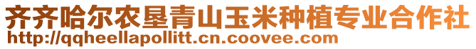 齊齊哈爾農(nóng)墾青山玉米種植專業(yè)合作社