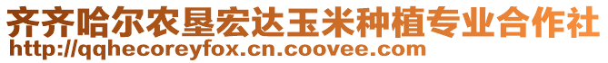 齊齊哈爾農(nóng)墾宏達玉米種植專業(yè)合作社