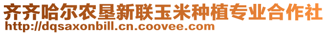 齊齊哈爾農(nóng)墾新聯(lián)玉米種植專業(yè)合作社