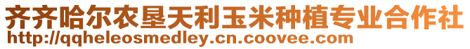 齊齊哈爾農(nóng)墾天利玉米種植專業(yè)合作社