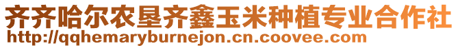 齊齊哈爾農(nóng)墾齊鑫玉米種植專業(yè)合作社