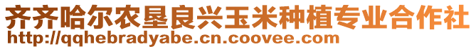 齊齊哈爾農(nóng)墾良興玉米種植專業(yè)合作社