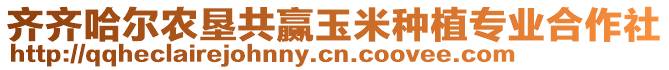 齊齊哈爾農(nóng)墾共贏玉米種植專業(yè)合作社