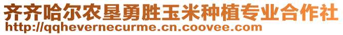 齊齊哈爾農(nóng)墾勇勝玉米種植專業(yè)合作社