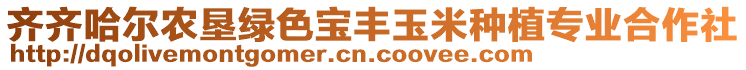 齊齊哈爾農(nóng)墾綠色寶豐玉米種植專業(yè)合作社