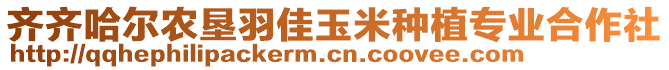 齊齊哈爾農(nóng)墾羽佳玉米種植專業(yè)合作社