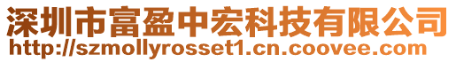 深圳市富盈中宏科技有限公司