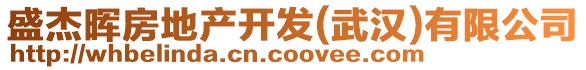 盛杰暉房地產(chǎn)開發(fā)(武漢)有限公司