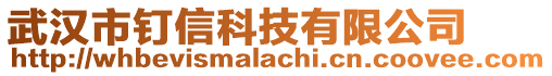 武漢市釘信科技有限公司