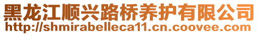 黑龍江順興路橋養(yǎng)護(hù)有限公司