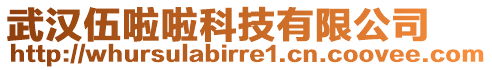 武漢伍啦啦科技有限公司