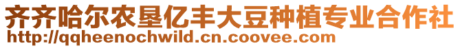 齊齊哈爾農(nóng)墾億豐大豆種植專業(yè)合作社