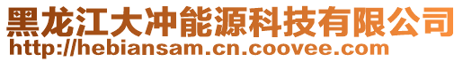 黑龍江大沖能源科技有限公司