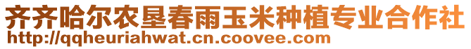 齊齊哈爾農(nóng)墾春雨玉米種植專業(yè)合作社