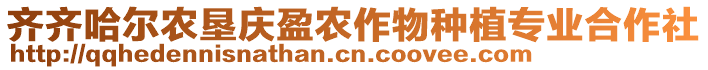 齊齊哈爾農(nóng)墾慶盈農(nóng)作物種植專業(yè)合作社