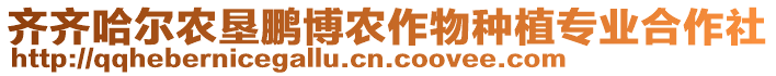 齊齊哈爾農(nóng)墾鵬博農(nóng)作物種植專業(yè)合作社