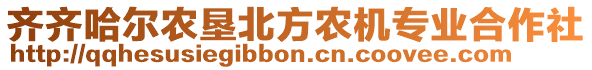 齊齊哈爾農(nóng)墾北方農(nóng)機(jī)專業(yè)合作社