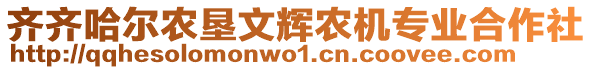 齊齊哈爾農墾文輝農機專業合作社