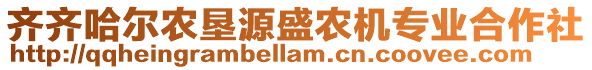 齊齊哈爾農(nóng)墾源盛農(nóng)機(jī)專業(yè)合作社