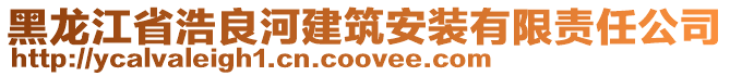 黑龍江省浩良河建筑安裝有限責任公司