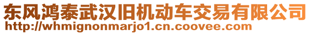 東風(fēng)鴻泰武漢舊機(jī)動(dòng)車(chē)交易有限公司