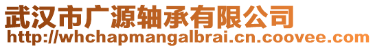 武漢市廣源軸承有限公司