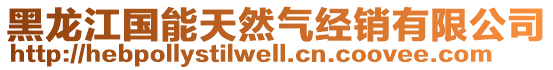 黑龍江國能天然氣經銷有限公司