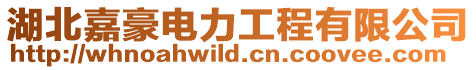 湖北嘉豪電力工程有限公司