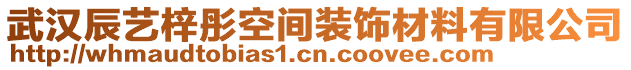 武漢辰藝梓彤空間裝飾材料有限公司