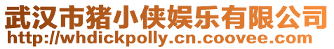 武漢市豬小俠娛樂有限公司