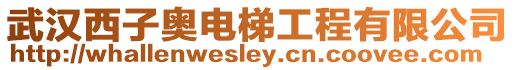 武漢西子奧電梯工程有限公司
