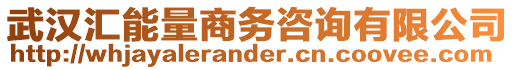 武漢匯能量商務咨詢有限公司