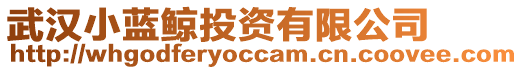 武漢小藍鯨投資有限公司