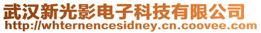武漢新光影電子科技有限公司