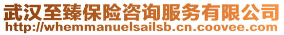 武漢至臻保險咨詢服務有限公司