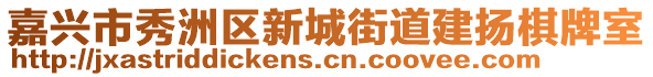 嘉興市秀洲區新城街道建揚棋牌室