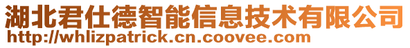 湖北君仕德智能信息技術有限公司